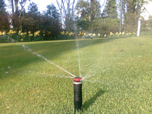 Irrigatore Rotator in funzione