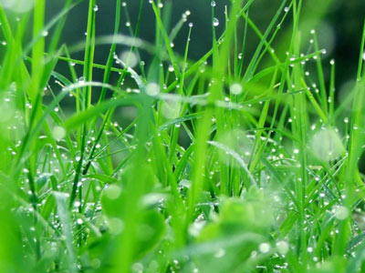 Impianti di irrigazione a pioggia